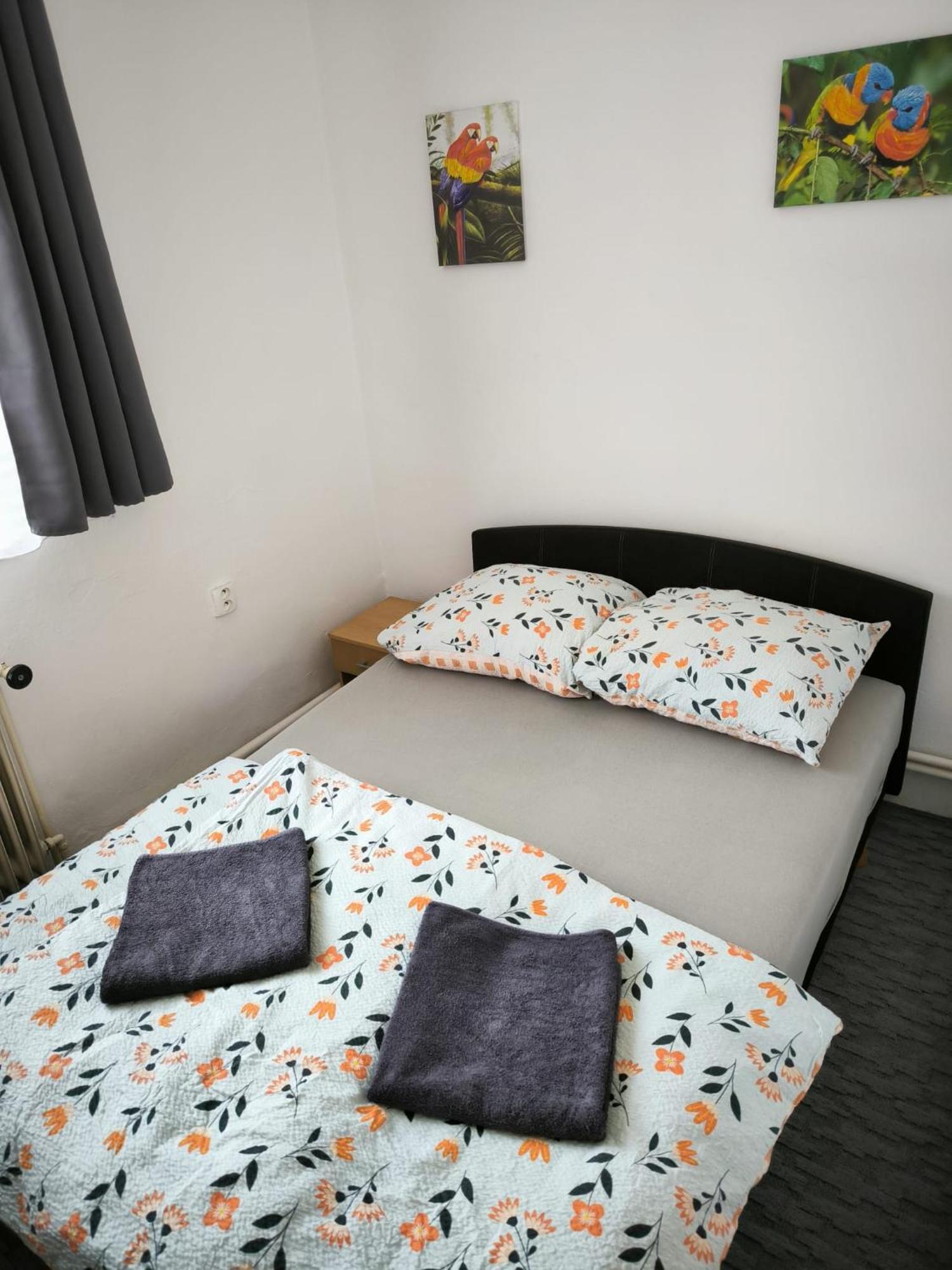 Apartman U Potoka Kestrany エクステリア 写真